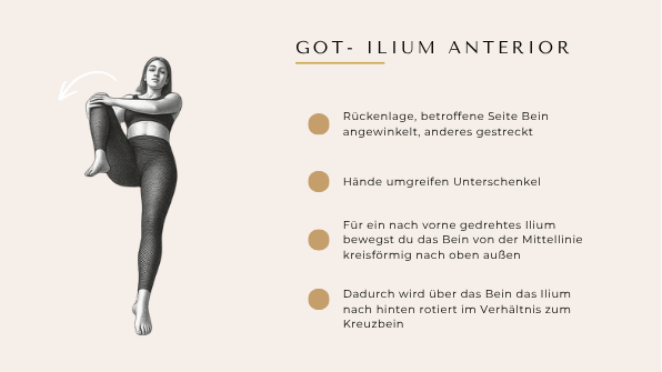 Kursfolie: GOT-Technik Ilium anterior